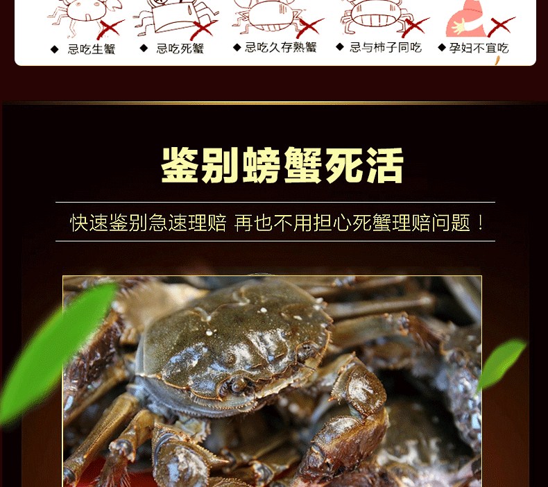 肥王大閘蟹 陽澄湖大閘蟹公蟹6.0兩 母蟹4.0兩 4對8只裝包郵(圖20)